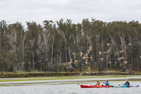 Moss Beach, California - June 17, 2018: Kayakers in the middle of a river  in California