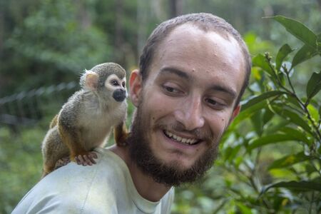 Pocket Monkey (aka Finger Monkey) hops on man s back in the Amaru nature preserve in Ecuador on Aug 21, 2015のeditorial素材