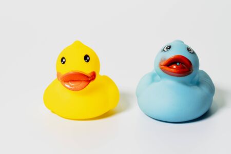 Plastic Yellow and Blue Ducks - Side by Side.のeditorial素材