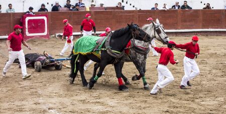 Ambato, Ecuador - Feb 15, 2015 - dead bull is hauled away after it lost bullfighter battle during Carnavalのeditorial素材