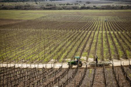 Santiago, Chile - 2019-07-13 - Tractor drives down dirt road in vineyard in winter.のeditorial素材