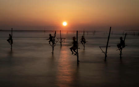Stilt Fishermen in Sri Lanka Working For Dinner at Sunsetの写真素材