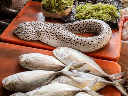 Indonesia, June 13 2022 - Large fish displayed for sale at a market.