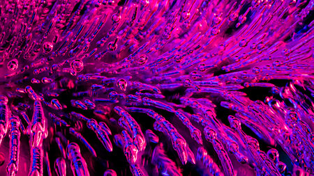 Macro images of streaming bubbles in ice with side lighting.の写真素材