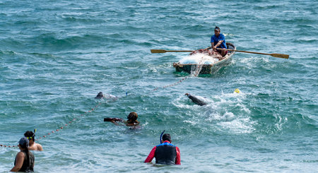 Honolulu, Hawaii/USA - 2022-08-20 - Shaka Filming Hukilau - a small boat hauls the fishing net out to the ocean while snorklers help keep the net where it belongs.のeditorial素材
