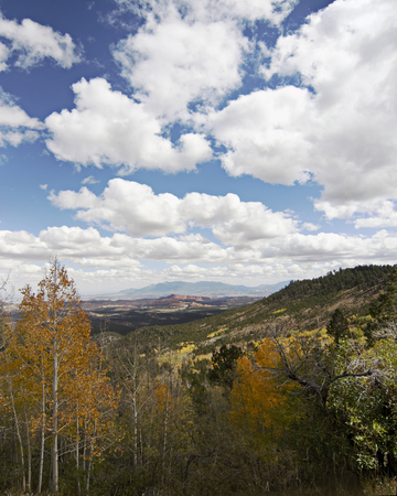 fall in UTAHの写真素材