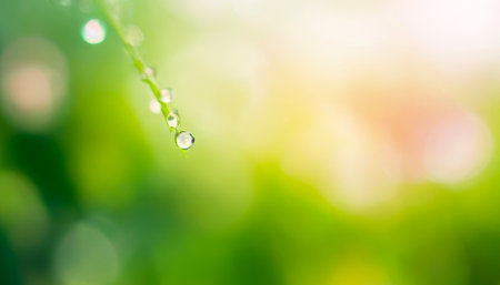 Fresh green leaf with a serene blur. Background photo with soft bokeh, suitable for banner, poster, and website design.の写真素材