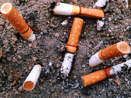 Tobaccos in ashtrayの素材