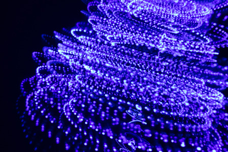 Abstrackt dark white violet colored background with freeze light effectの写真素材