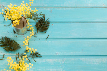 Flowers and mimosa leaves on blue wood bottom, top view, writing space.