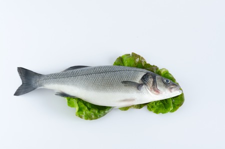Sea bass on lettuce leaves on white background. Top view.の写真素材