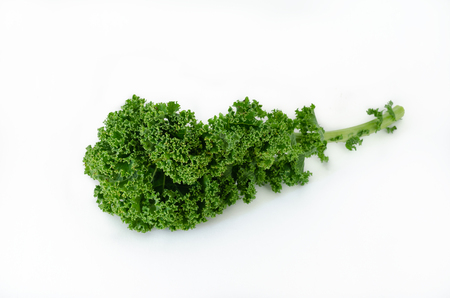 American kale on white background. Top view.の写真素材