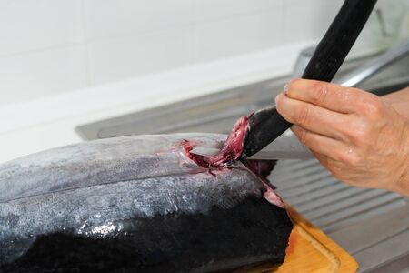 Exploded tuna on wooden board. Fresh fish.の写真素材