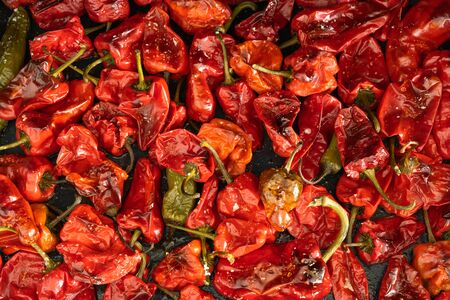 Baking tray with roasted red peppers. Macro top view.