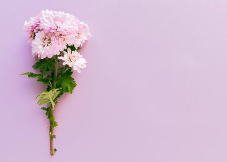 Bouquet of flowers on a pink background. Copy space. Concept card for events.
