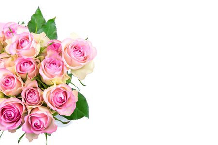 Bouquet of small pink roses on a white background. Copy space. Spring concept.の写真素材