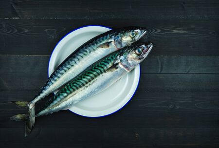 Two fresh mackerels on a white plate on a black wooden background. Copy space. Fresh fish concept. Top view.の写真素材