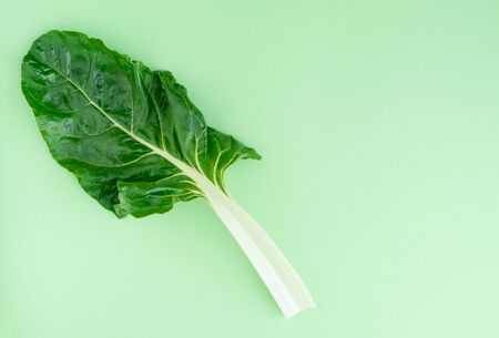 A single leaf of chard on a blue background. Copy space. Top view.の写真素材