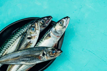 Horse mackerel and mackerel four fresh fish on a black plate on a blue background. Copy space. Seafood concept.の写真素材