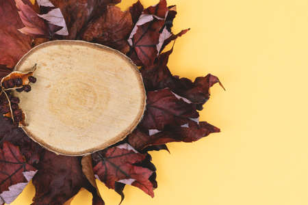 Autumn leaves and sliced wood on a warm colored background. Copy space.の写真素材