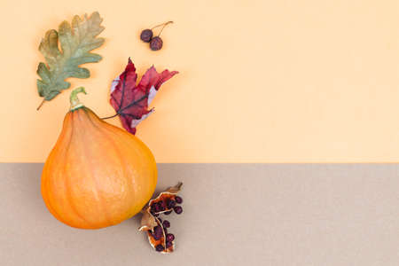 Creative autumn composition. Pumpkin and dried leaves on a two-color background. Copy space.