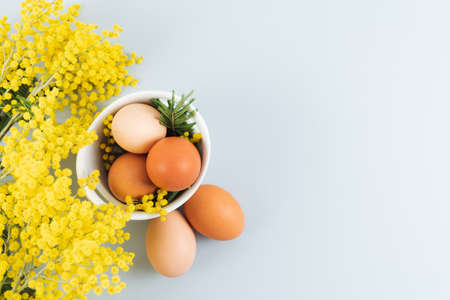 Eggs in bowl of different shades in row on blue background with yellow flowers. Copy space. Top view.の写真素材