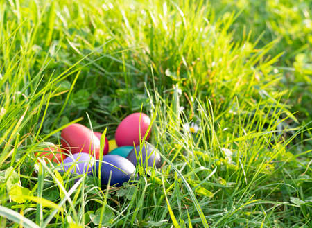 Colored eggs in natural nest on the ground. Copy space.