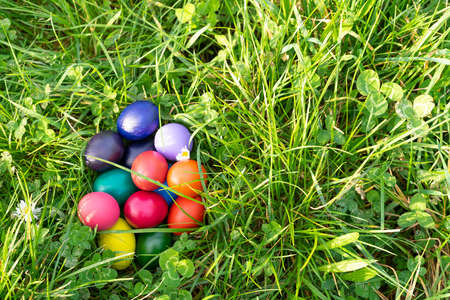 Colorful Easter eggs on green grass. Copy space.の写真素材