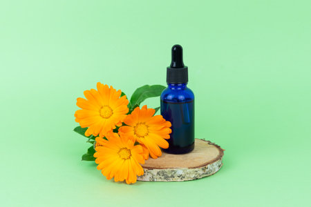 Marigold flowers and dropper bottle on birch wood slice and green background. Copy space.の写真素材