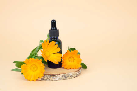 Marigold flowers and dropper bottle on birch wood slice and pink background. Copy space.の写真素材