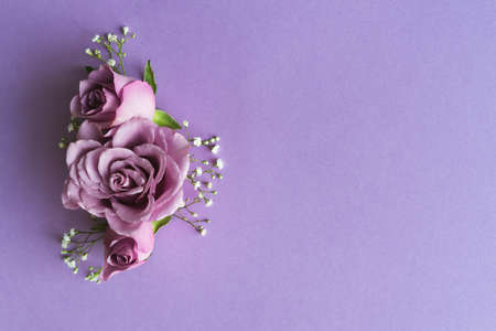 Natural purple roses with white flowers on purple background. Copy space.