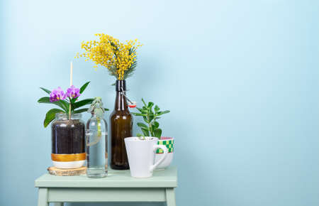 Blue shelf with potted plants and flowers on blue background. Copy space.の写真素材