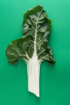 Chard leaf on green background. Vertical photos.の写真素材