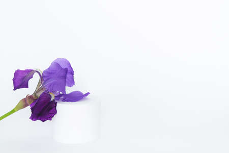Purple iris flower with white circular display for products on white background. Copy space.の写真素材