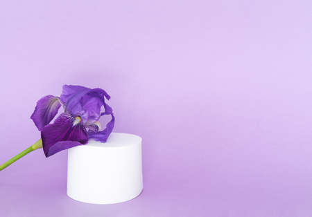 Purple iris flower with white circular display for products on purple background. Copyspace.の写真素材