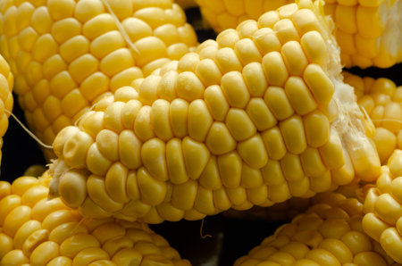 Macro of corn cobs cut into pieces. Close up view.