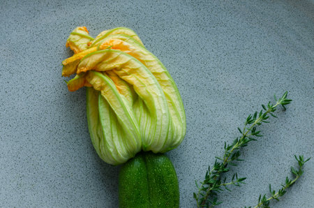 Tender zucchini with flower on a stone background. Copyspace. top view. Vegetable concept.の写真素材