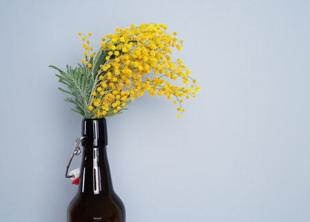 Dark glass bottle with yellow mimosa flowers on gray background. Copyspace.の写真素材