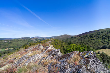Natural landscape of trees and blue sky with rocks in the foreground.の写真素材