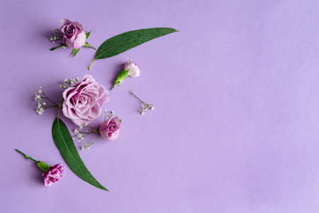 Violet background with purple flowers and leaves. Copy space. Top view.の写真素材
