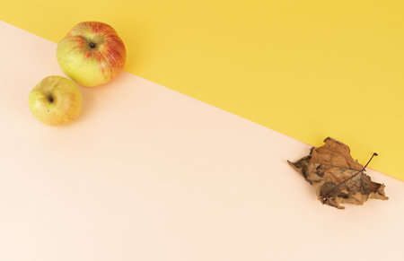 Two-color background with apples and leaves. Autumn background.の写真素材