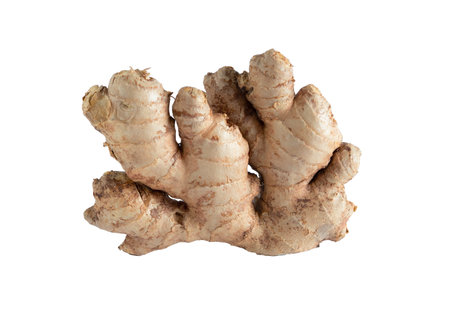 Ginger root on isolated background. Copy space.の写真素材