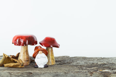 A gnome is standing between two red mushrooms. The mushrooms are on a wooden surface. The gnome is wearing a hat and he is looking at the camera. The scene is whimsical and playful, with the gnomeの写真素材