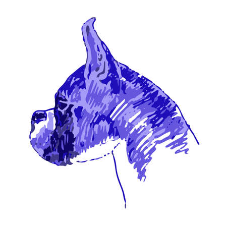 Boxer dog breed vector stickerのイラスト素材