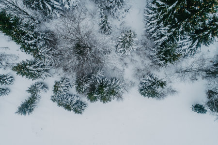 Winter chill. Natural winter landscape from air. Aerial view on the forest at the winter time....
