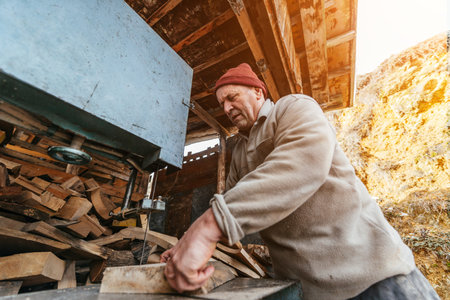 Carpenter Cutting Wood with a Bandsaw in a Rustic Workshopの写真素材