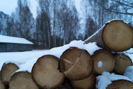 Logs in winter landscape