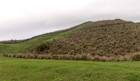 Yangmingshan Nation Park at Qing Tian Gang, Taipei Apr 2016の写真素材
