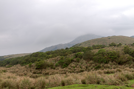 Yangmingshan Nation Park at Qing Tian Gang, Taipei Apr 2016の写真素材