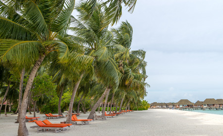 Kani Island Beautiful Island, Maldives Jun 2016.の写真素材